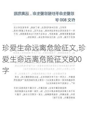 珍爱生命远离危险征文,珍爱生命远离危险征文800字