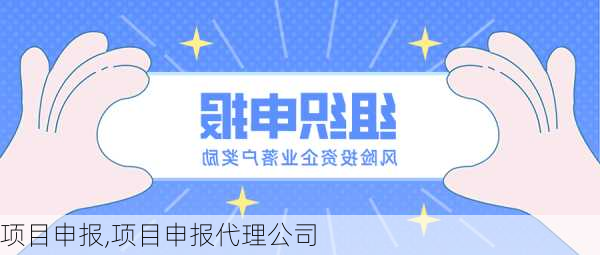 项目申报,项目申报代理公司