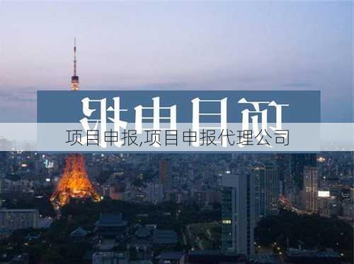 项目申报,项目申报代理公司