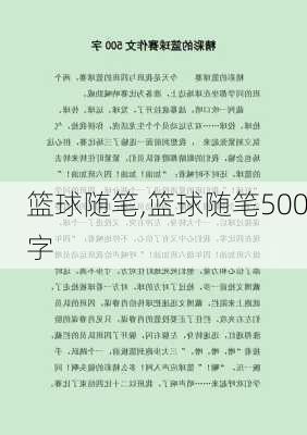 篮球随笔,篮球随笔500字