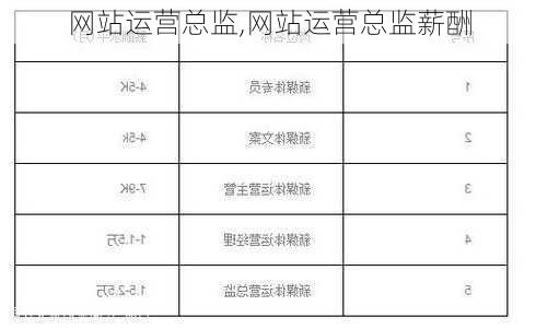 网站运营总监,网站运营总监薪酬