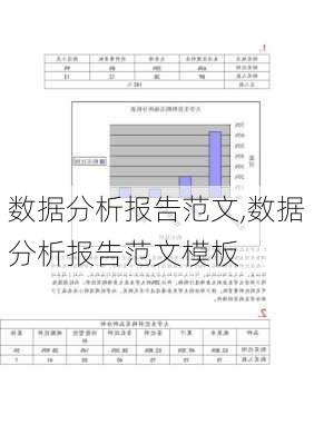 数据分析报告范文,数据分析报告范文模板