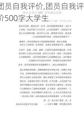 团员自我评价,团员自我评价500字大学生