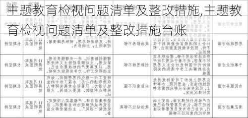 主题教育检视问题清单及整改措施,主题教育检视问题清单及整改措施台账