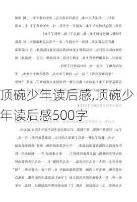 顶碗少年读后感,顶碗少年读后感500字