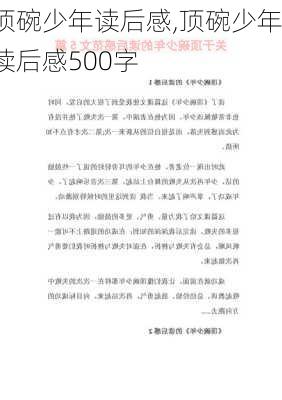 顶碗少年读后感,顶碗少年读后感500字