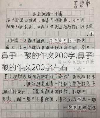 鼻子一酸的作文200字,鼻子一酸的作文200字左右