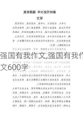 强国有我作文,强国有我作文600字