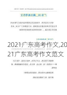 2021广东高考作文,2021广东高考作文范文