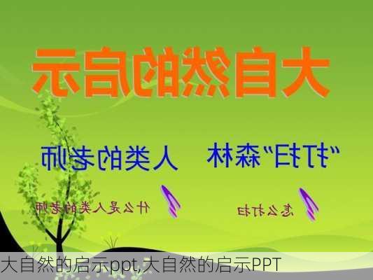 大自然的启示ppt,大自然的启示PPT