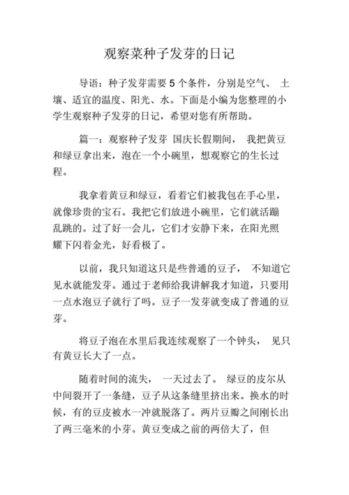 萌芽经典文章,萌芽的经典摘抄