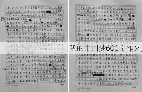 我的中国梦600字作文,