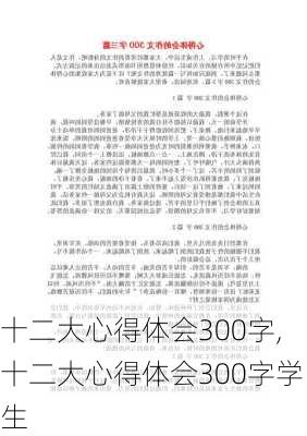 十二大心得体会300字,十二大心得体会300字学生