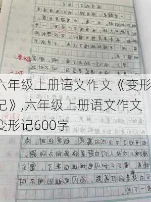 六年级上册语文作文《变形记》,六年级上册语文作文变形记600字