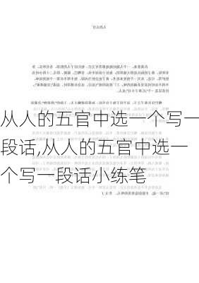 从人的五官中选一个写一段话,从人的五官中选一个写一段话小练笔