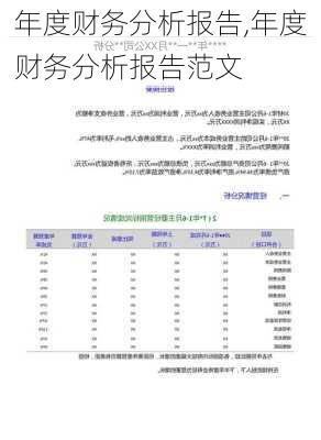 年度财务分析报告,年度财务分析报告范文