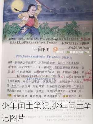 少年闰土笔记,少年闰土笔记图片