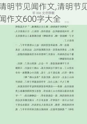 清明节见闻作文,清明节见闻作文600字大全