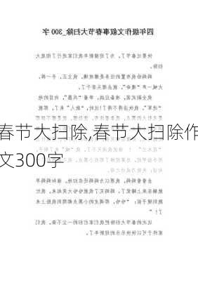 春节大扫除,春节大扫除作文300字