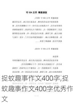 捉蚊趣事作文400字,捉蚊趣事作文400字优秀作文