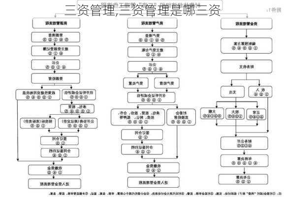 三资管理,三资管理是哪三资