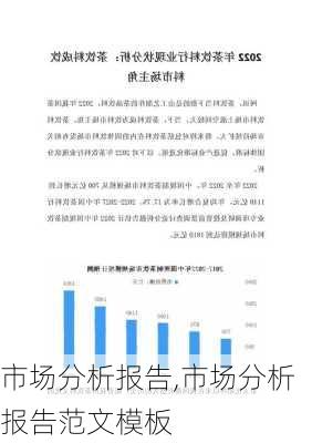 市场分析报告,市场分析报告范文模板