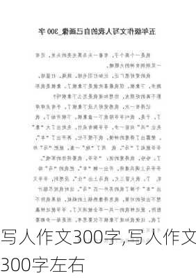 写人作文300字,写人作文300字左右