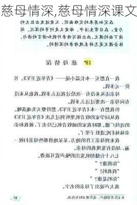 慈母情深,慈母情深课文