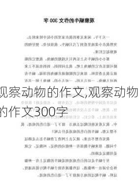 观察动物的作文,观察动物的作文300字