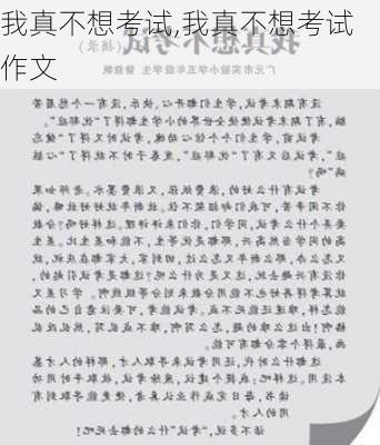 我真不想考试,我真不想考试作文