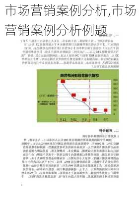 市场营销案例分析,市场营销案例分析例题