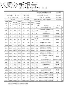 水质分析报告,