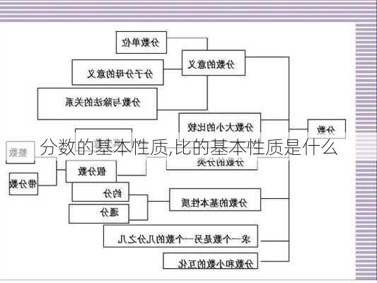 分数的基本性质,比的基本性质是什么