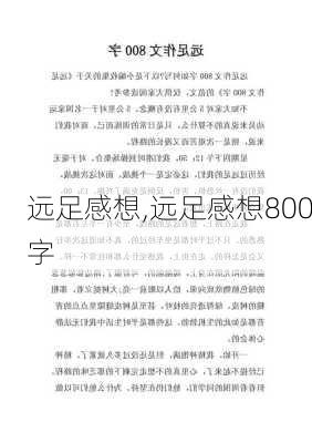 远足感想,远足感想800字