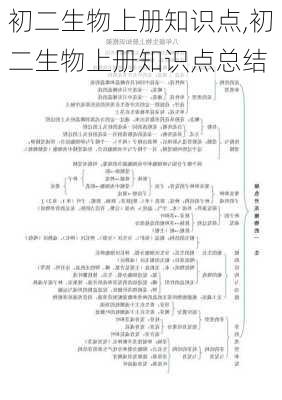 初二生物上册知识点,初二生物上册知识点总结