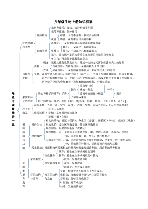 初二生物上册知识点,初二生物上册知识点总结