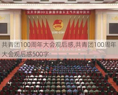 共青团100周年大会观后感,共青团100周年大会观后感500字