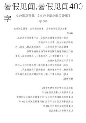 暑假见闻,暑假见闻400字