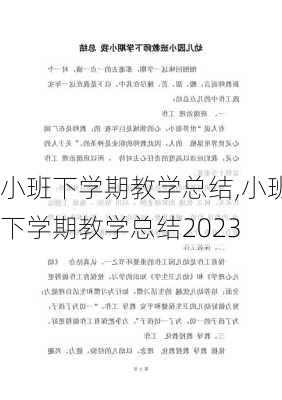 小班下学期教学总结,小班下学期教学总结2023