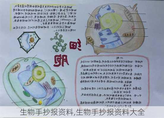 生物手抄报资料,生物手抄报资料大全