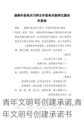 青年文明号创建承诺,青年文明号创建承诺书