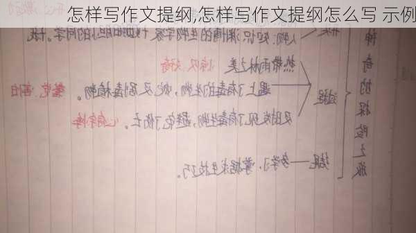 怎样写作文提纲,怎样写作文提纲怎么写 示例