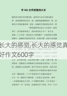 长大的感觉,长大的感觉真好作文600字