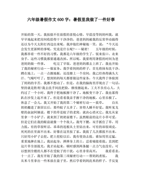 作文暑假里的一件事,作文暑假里的一件事600字