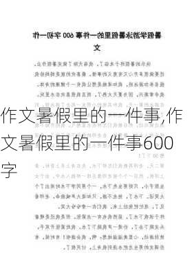 作文暑假里的一件事,作文暑假里的一件事600字