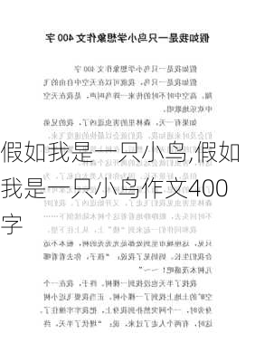 假如我是一只小鸟,假如我是一只小鸟作文400字