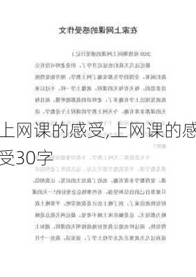 上网课的感受,上网课的感受30字