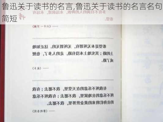 鲁迅关于读书的名言,鲁迅关于读书的名言名句简短