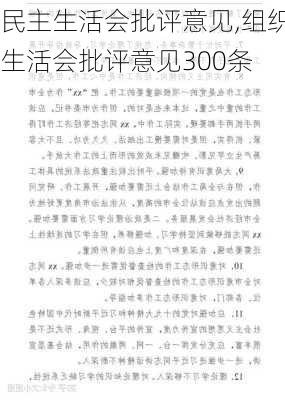 民主生活会批评意见,组织生活会批评意见300条