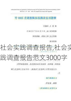 社会实践调查报告,社会实践调查报告范文3000字